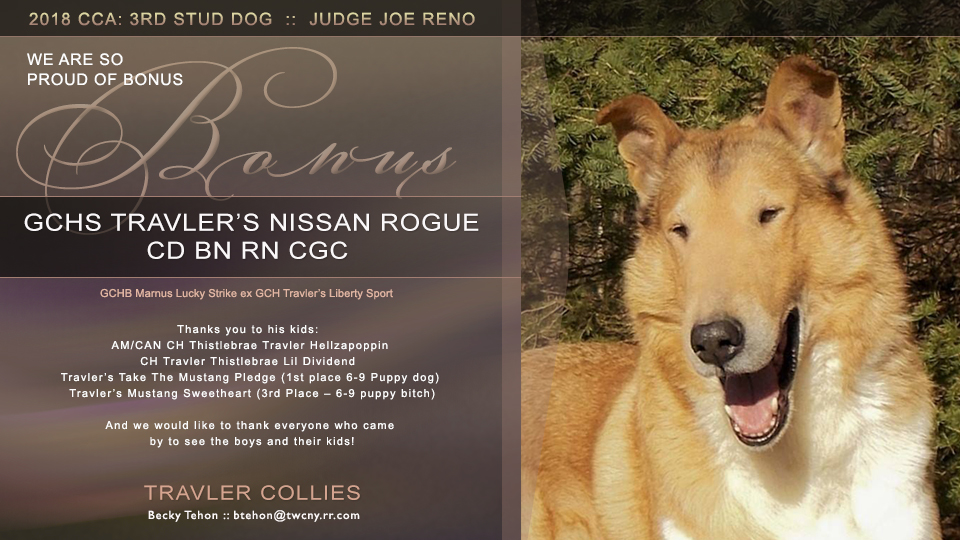 Travler Collies -- GCHS Travler's Nissan Rogue CD BN RN CGC