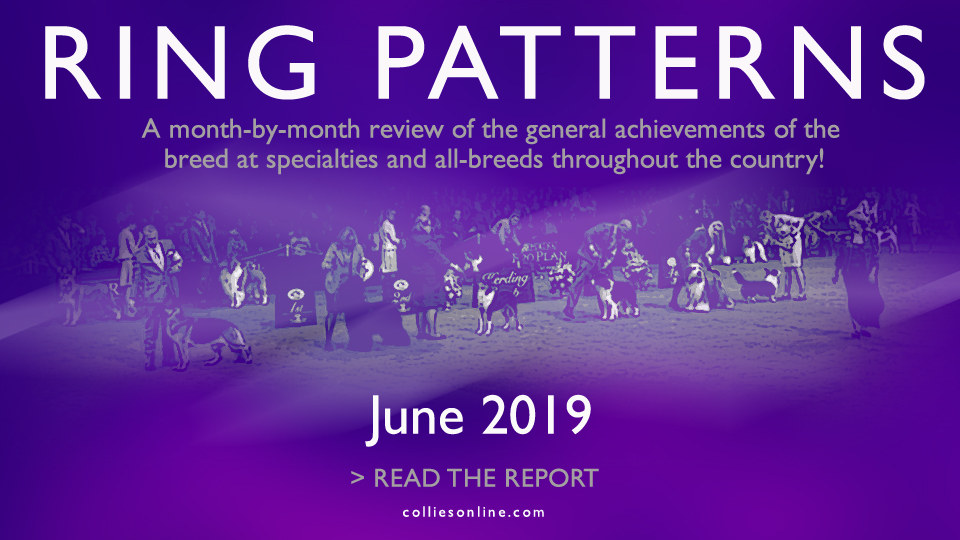 Colliesonline.com -- Ring Patterns / June 2019