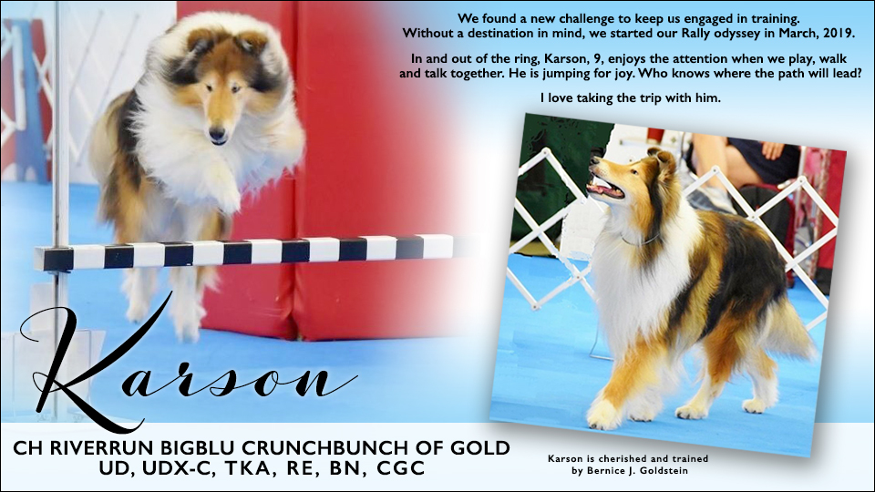 Bernice Goldstein -- CH Riverrun BigBlu CrunchBunch of GoldUD, UDX-C, TKA, RE, BN, CGC