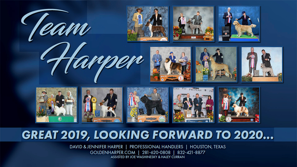 Team Harper -- David and Jennifer Harper, Professional Handlers