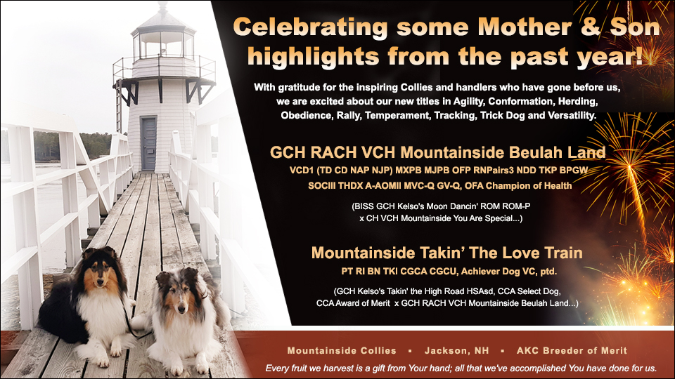 Mountainside Collies -- GCH RACH VCH Mountainside Beulah Land and Mountainside Takin' The Love Train PT RI BN TKI CGCA CGCU