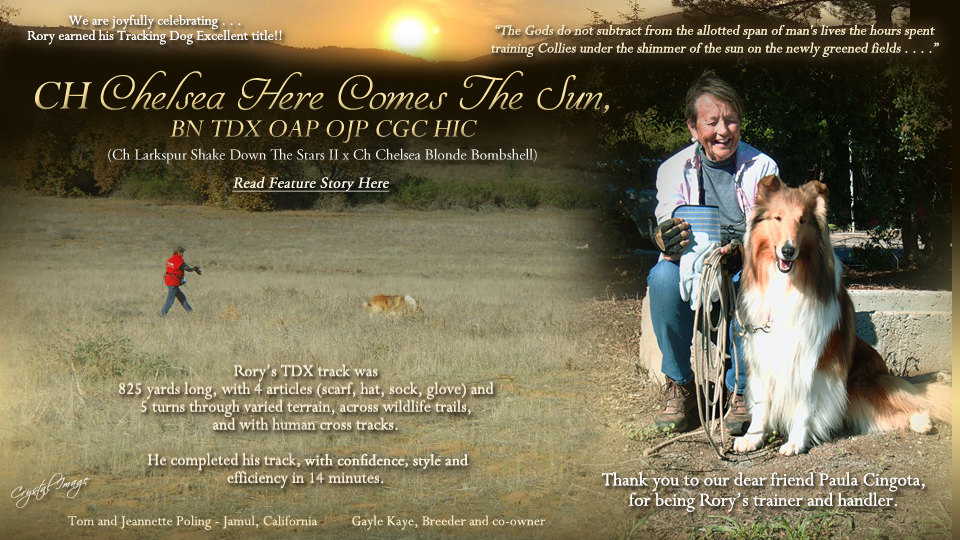 Tom and Jeannette Poling -- CH Chelsea Here Comes the Sun, BN TDX OAP OJP CGC HIC