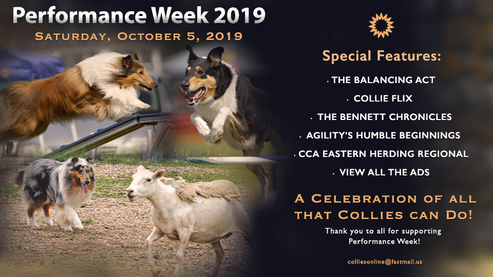 Performance Week 2019 -- A Celebration Of All That Collies Can Do!