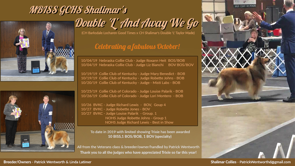 Shalimar Collies -- GCHS Shalimar's Double 'L' And Away We Go, HT