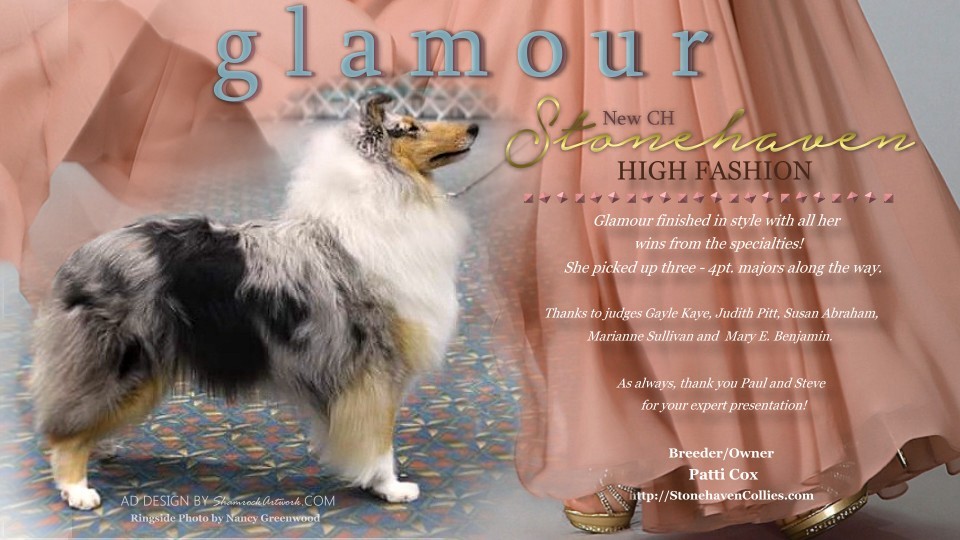 Stonehaven Collies -- CH Stonehaven High Fashion