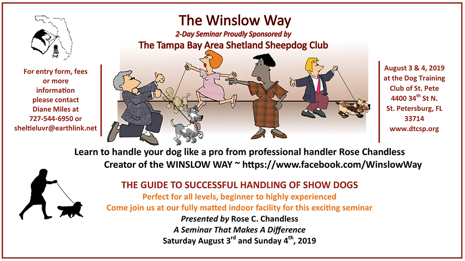 Tampa Bay Area Shetland Sheepdog Club -- 2019 Winslow Way handling seminar presented by Rose Chandless