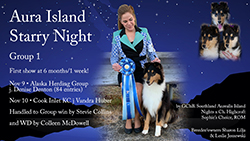 Highcroft Collies -- Aura Island Starry Night