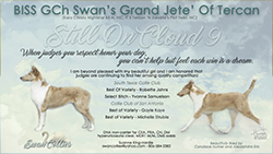 Swan Collies -- GCH Swan's Grand Jete' Of Tercan