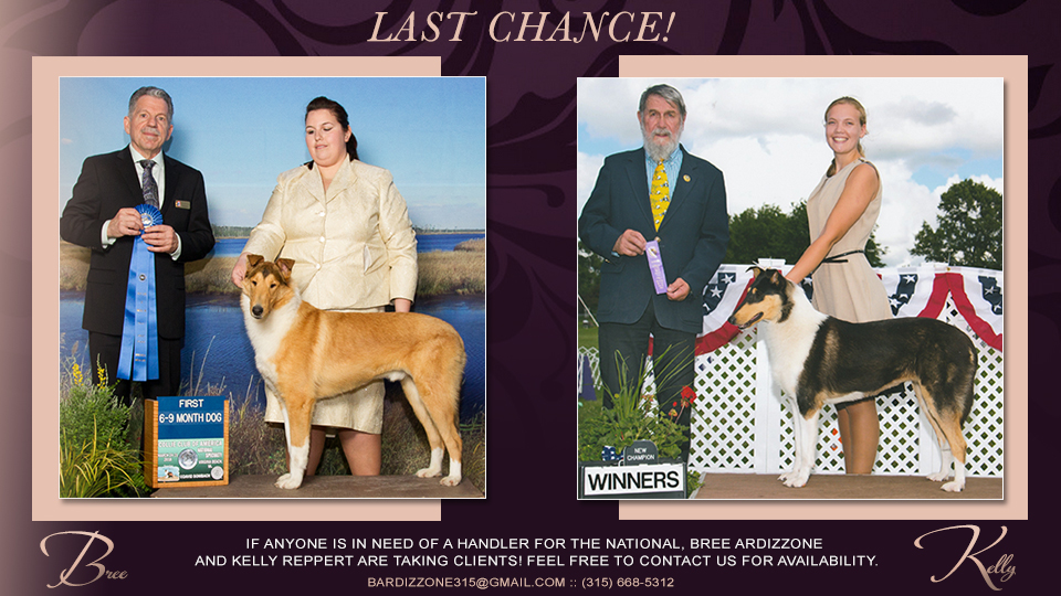 Bree Ardizzone / Kelly Reppert -- Offers handling for the 2019 Collie Club of America National Specialty 