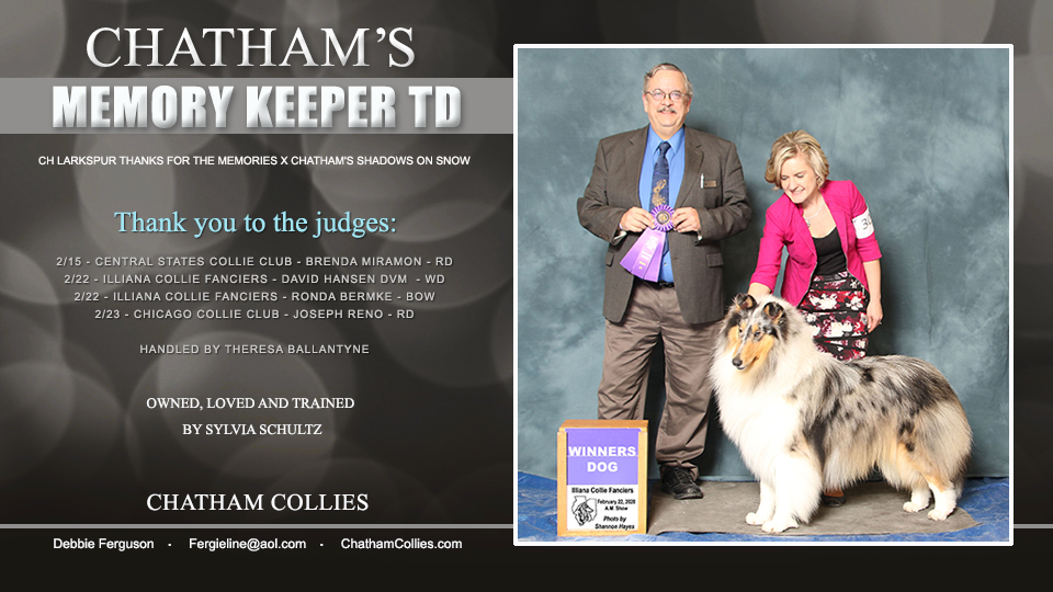 Chatham Collies -- Chatham's Memory Keeper TD