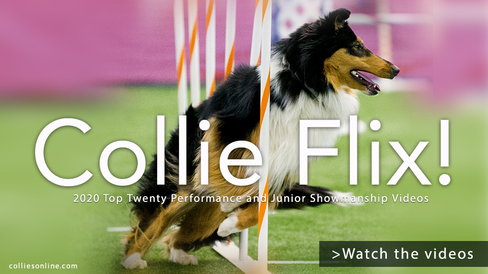 Colliesonline.com -- Collie Flix! 2020 Top Twenty Performance and Junior Showmanship Videos