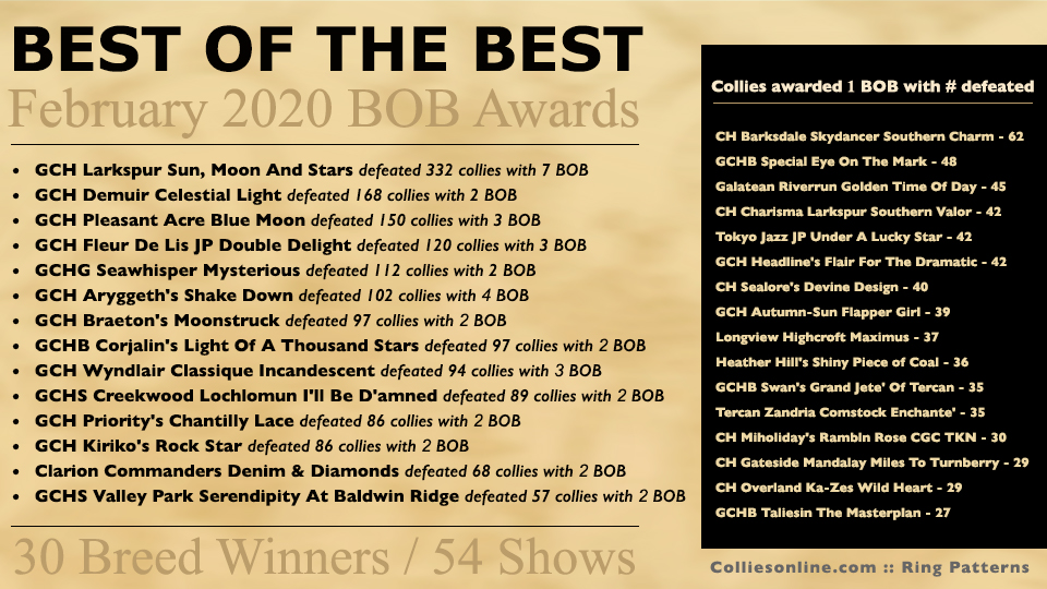 Colliesonline.com -- Best of The Best / February 2020 BOB Awards