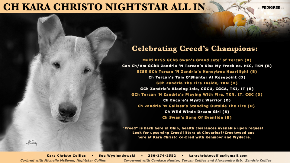 Kara Christo Collies -- CH Kara Christo Nightstar All In 