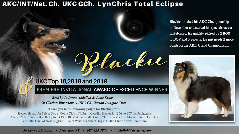 LynChris Collies -- AKC/INT/Nat. CH UKC GCH LynChris Total Eclipse