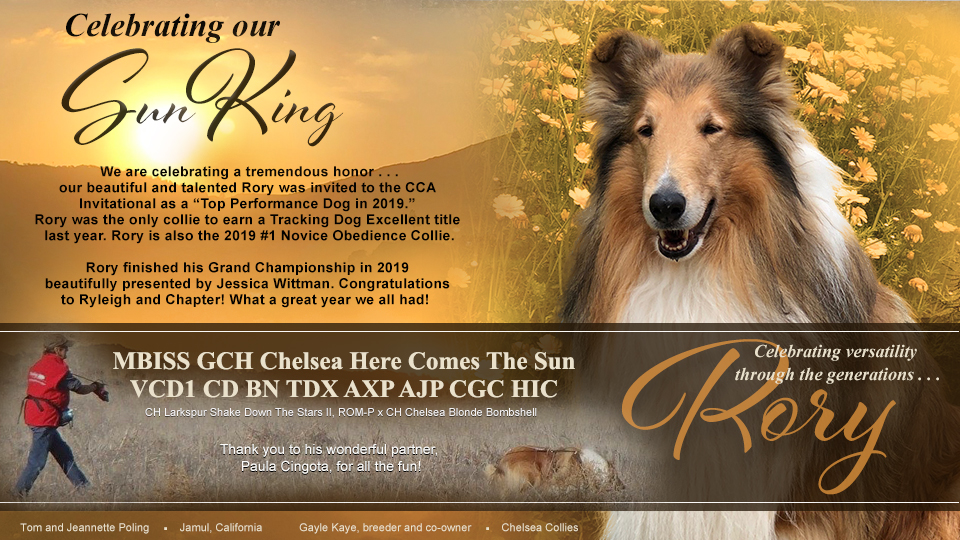 Tom and Jeannette Poling -- GCH Chelsea Here Comes The Sun, VCD1 CD BN TDX AXP AJP CGC HIC
