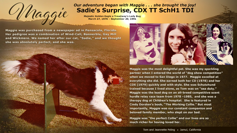 Tom and Jeannette Poling -- Sadie’s Surprise, CDX TT SchH1 TDI