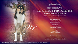 Cyndella Collies --  Cyndella's Ignite The Night With Silhouette