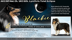 LynChris Collies -- AKC/INT/Nat. CH UKC GCH LynChris Total Eclipse