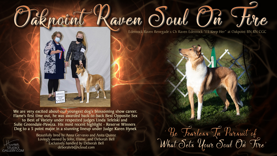 Deborah Bell -- Oakpoint Raven Soul On Fire