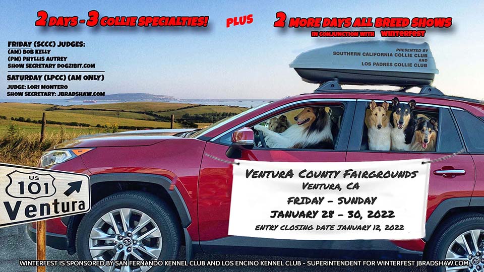 Southern California Collie Club / Los Padres Collie Club --  January 2022 Specialty Shows