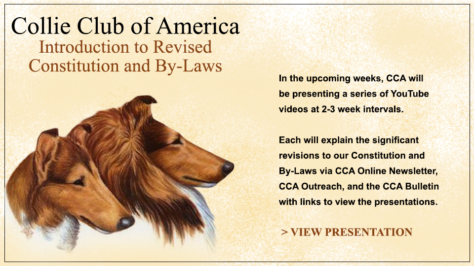Collie Club of America -- Introduction to Revised Constitution and By-Laws