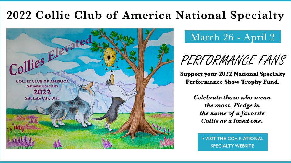 Collie Club of America National Specialty -- Support the 2022 Performance Trophy Fund