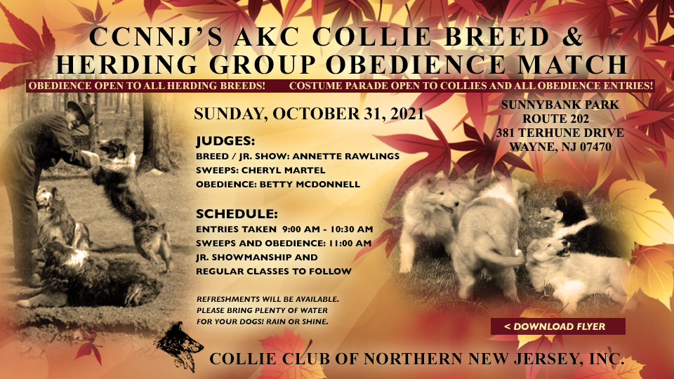 Collie Club Of Northern New Jersey -- 2021 AKC Collie Breed and Herding Group Obedience Match
