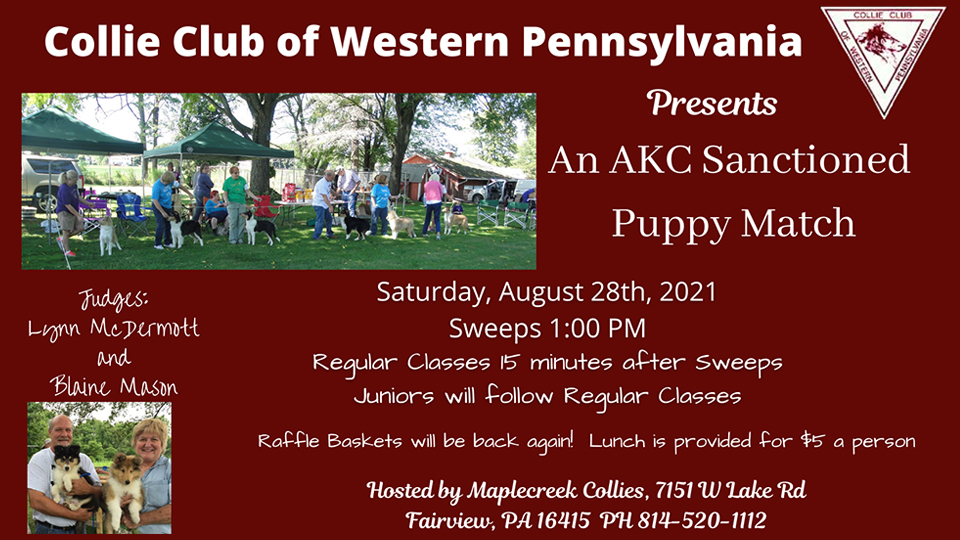 Collie Club Of Western Pennsylvania -- 2021 Specialty Puppy Match
