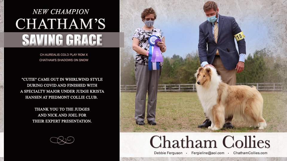 Chatham Collies -- Chatham's Saving Grace