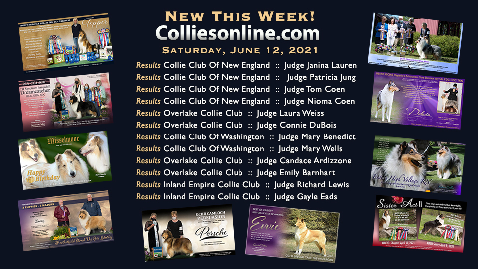 Colliesonline.com -- Saturday, June 12, 2021