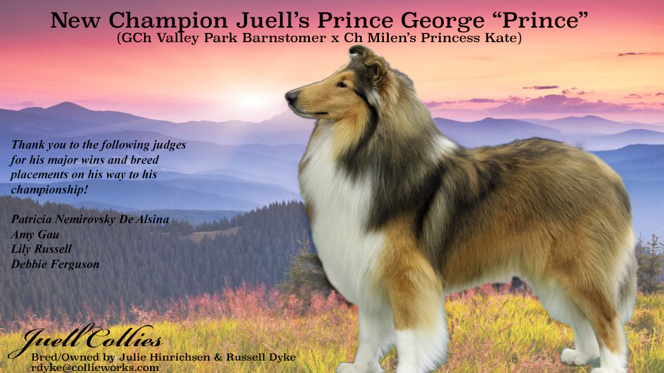 Juell Collies -- CH Juell's Prince George
