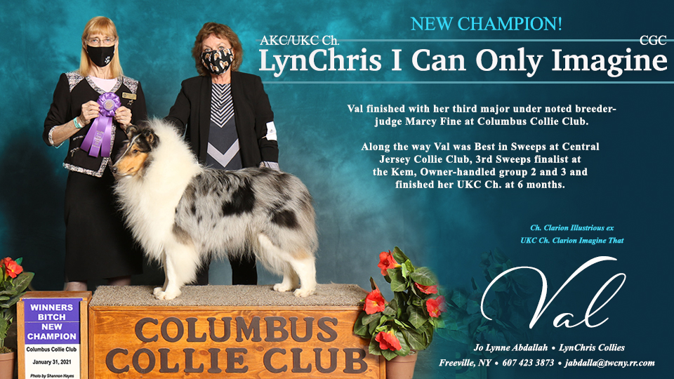 AKC/UKC CH LynChris I Can Only Imagine