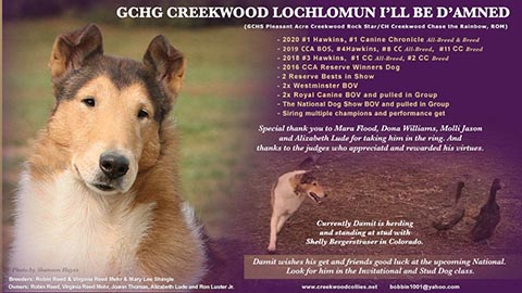 Creekwood Collies -- GCHG Creekwood Lochlomun I'll Be D'amned