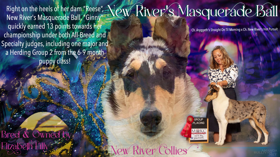 New River Collies -- New River's Masquerade Ball