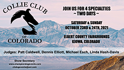 Collie Club of Colorado -- 2021 Specialty Shows