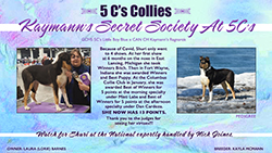 5C's Collies -- Kaymann's Secret Society At 5C's