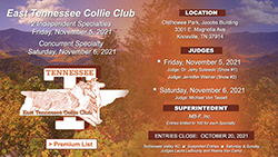 East Tennessee Collie Club -- 2021 November Specialty Shows
