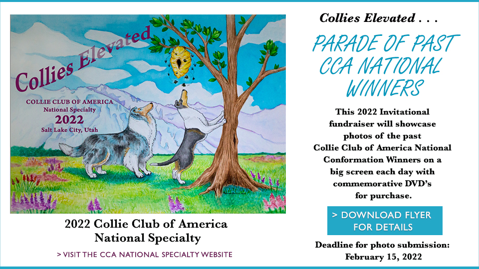 2022 Collie Club of America National Specialty -- Parade of Past CCA National Winners