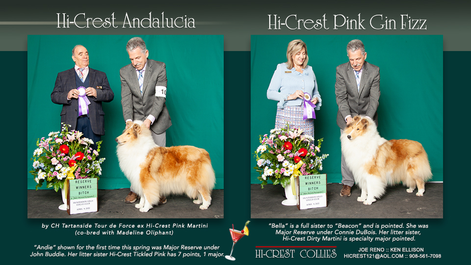 Hi-Crest Collies -- Hi-Crest Andalucia / Hi-Crest Pink Gin Fizz