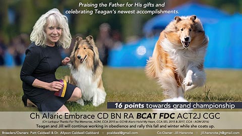 Alaric Collies -- CH Alaric Embrace CD BN RA BCAT FDC ACT2J CGC