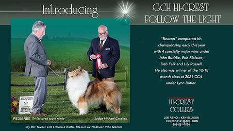 Hi-Crest Collies -- GCH Hi-Crest Follow the Light