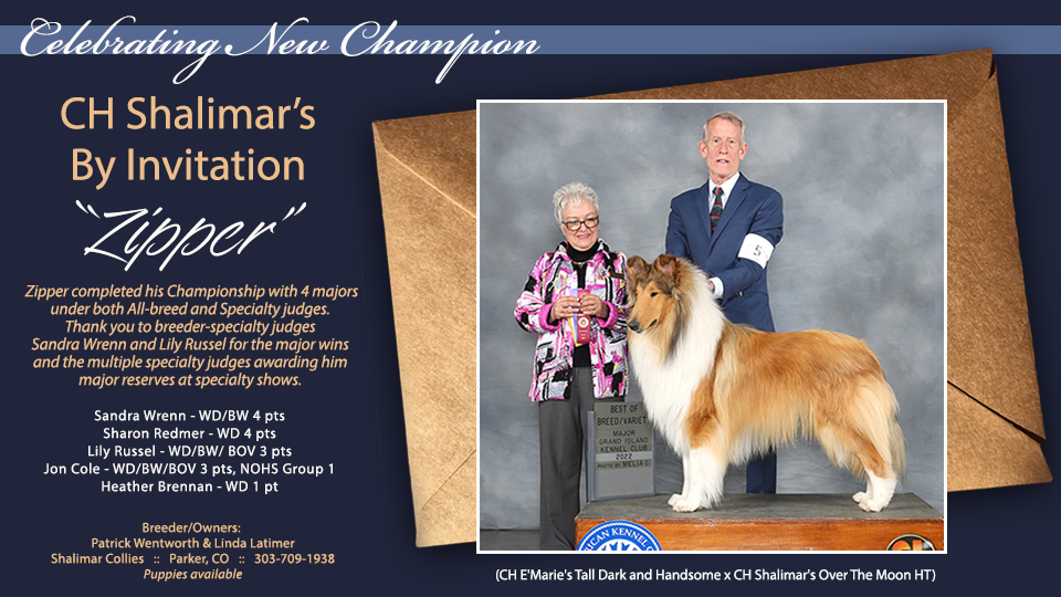 Shalimar Collies -- CH Shalimar's By Invitation