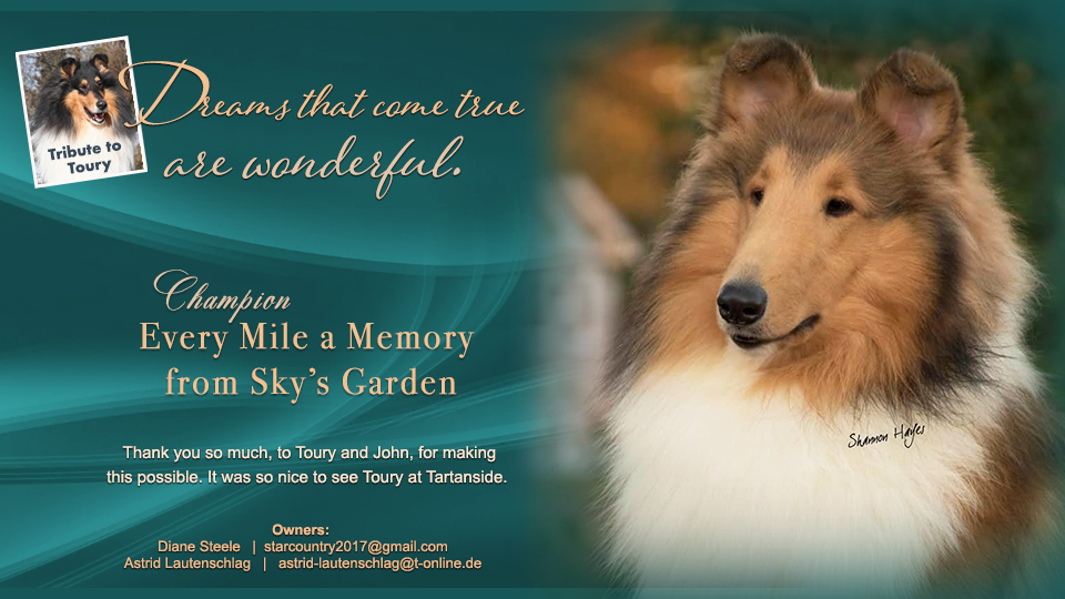 Star Country Collies -- Tribute To Toury / CH Everymile A Memory From Sky's Garden