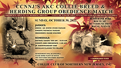 Collie Club Of Northern New Jersey -- 2022 AKC Collie Breed and Herding Group Obedience Match