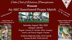 Collie Club of Western Pennsylvania -- 2022 Collie Specialty Puppy Match