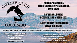 Collie Club of Colorado  -- 2022 November Specialty Shows