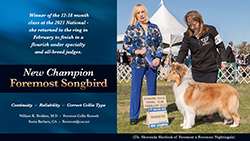 Foremost Collies -- CH Foremost Songbird