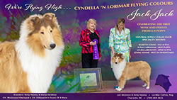 LoriMar Collies / Cyndella Collies -- Cyndella 'N Lorimar Flying Colours