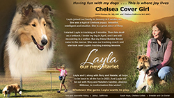 Tom and Jeannette Poling / Gayle Kaye, Chelsea Collies -- Chelsea Cover Girl