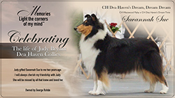 Rohde Collies -- Celebrates the life of Judy Bryant, Dea Haven Collies